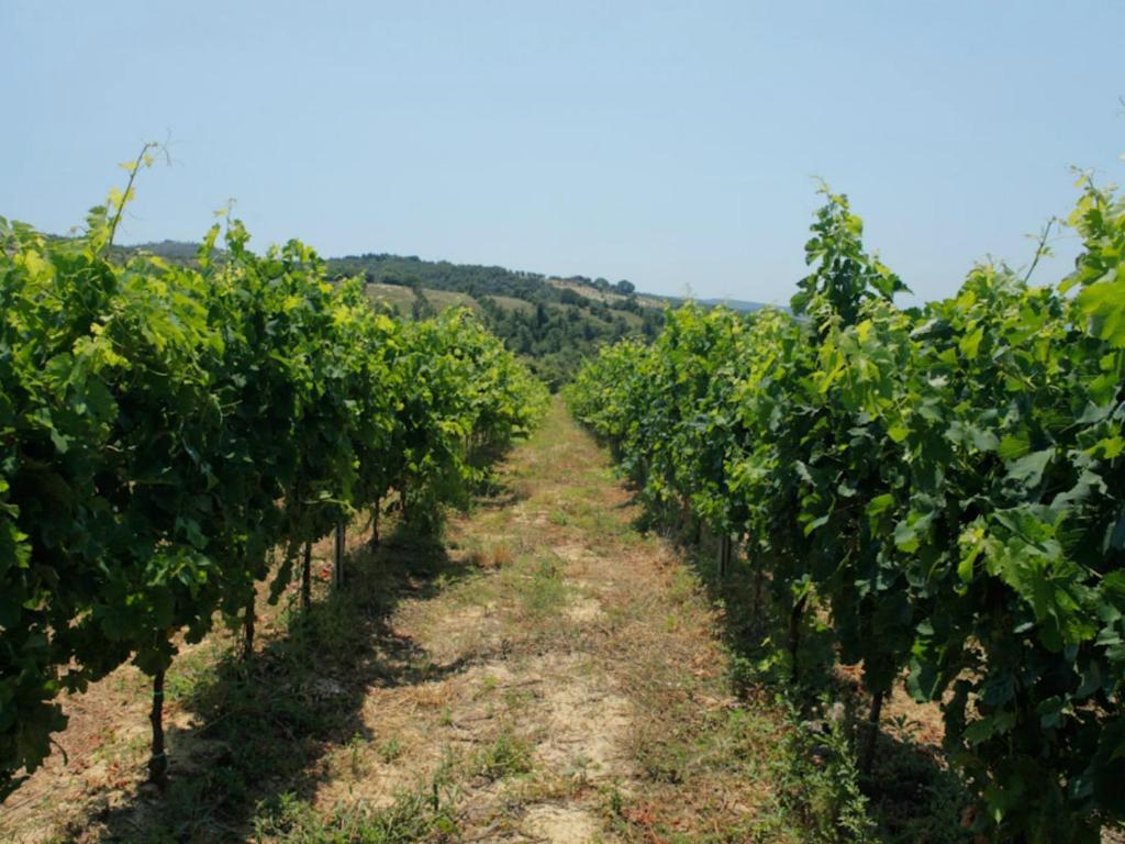 Tenuta Ponziani Wine Resort&Spa Morrano Exterior foto